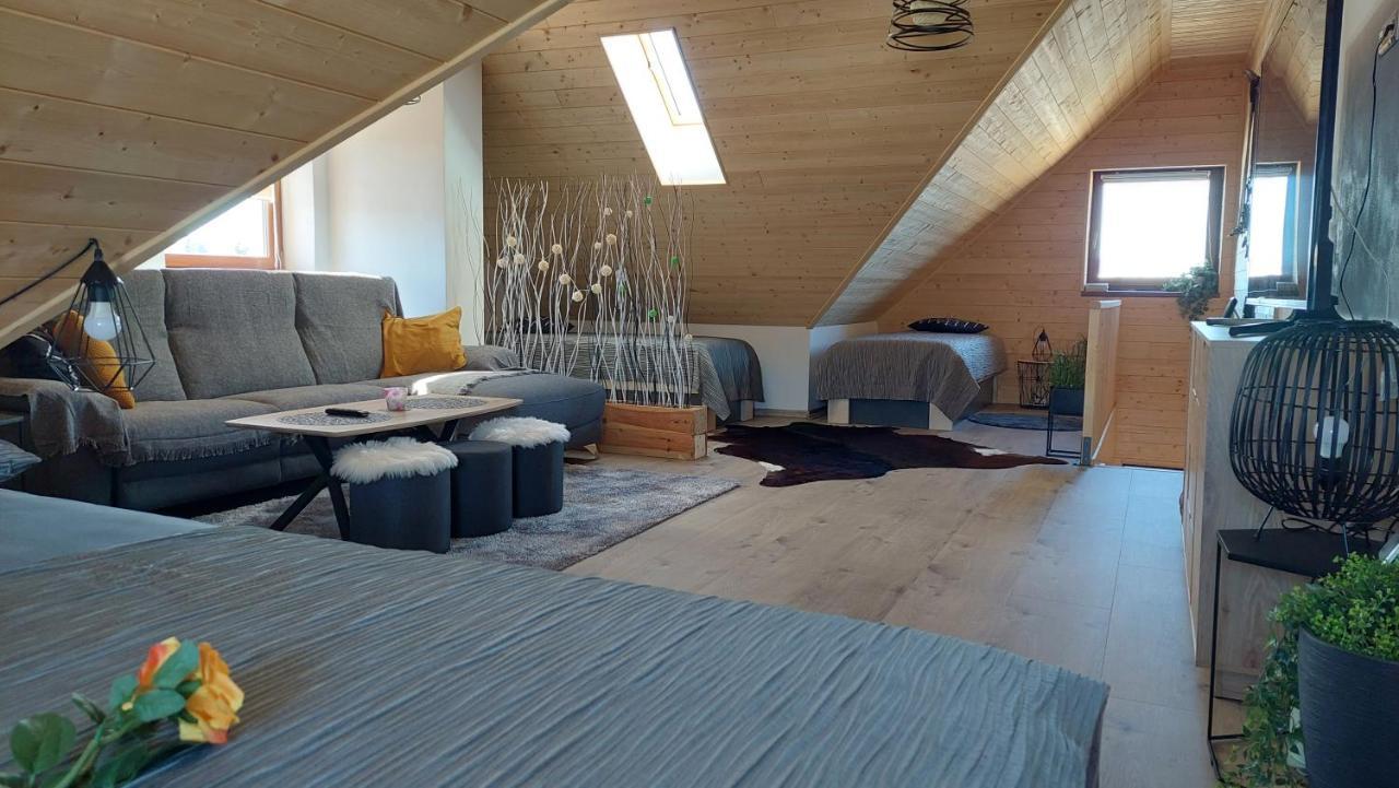 Horský apartmán Pod Smrčinou - 3KK mezonet Vaclavov u Bruntalu Exterior foto