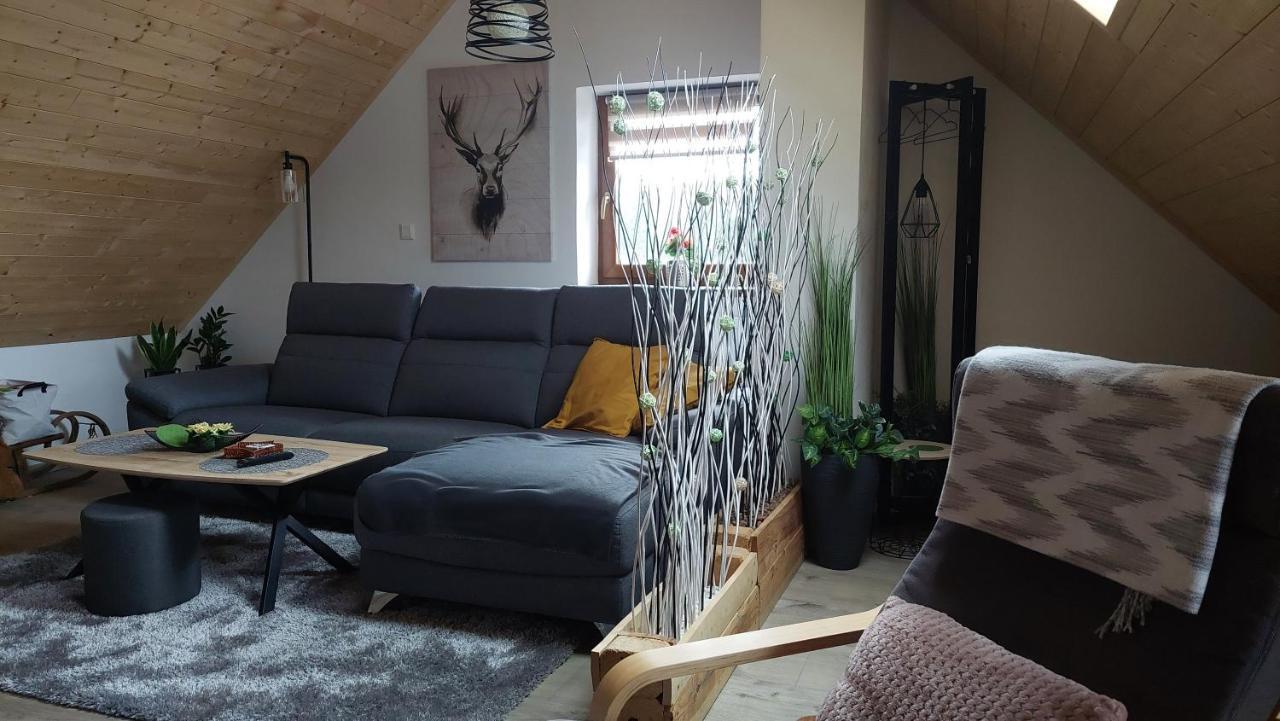 Horský apartmán Pod Smrčinou - 3KK mezonet Vaclavov u Bruntalu Exterior foto