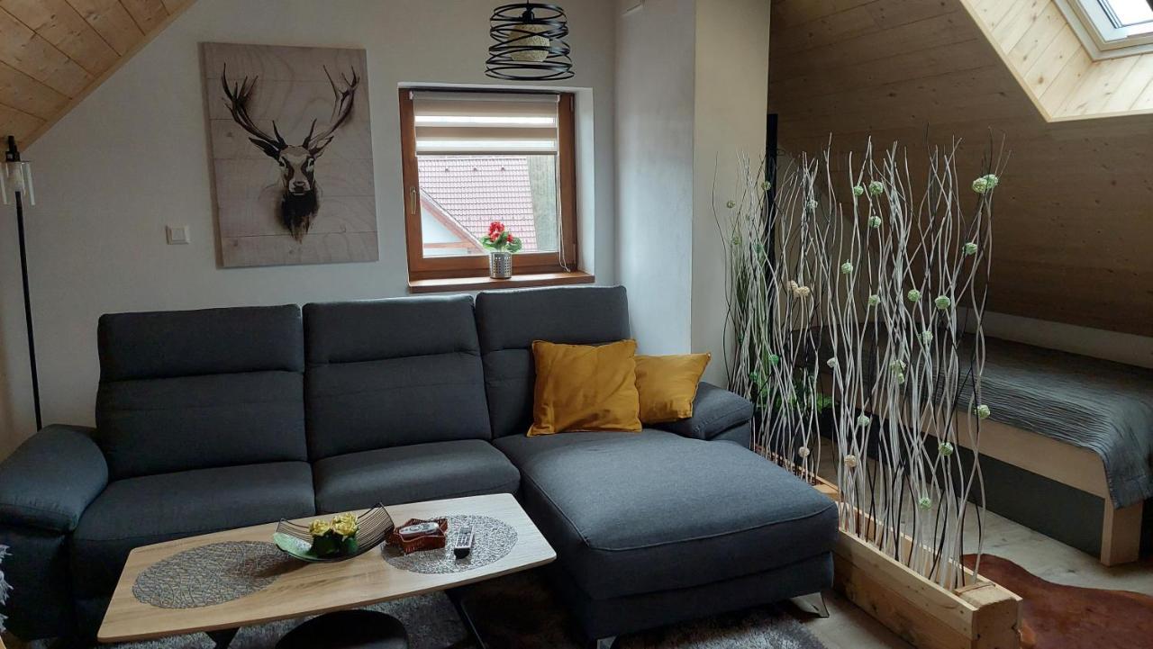 Horský apartmán Pod Smrčinou - 3KK mezonet Vaclavov u Bruntalu Exterior foto